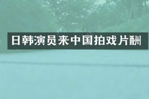 日韩演员来中国拍戏片酬
