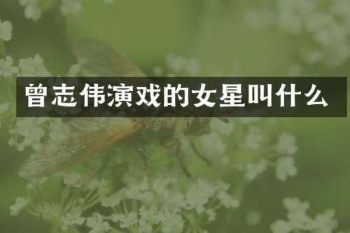 曾志伟演戏的女星叫什么