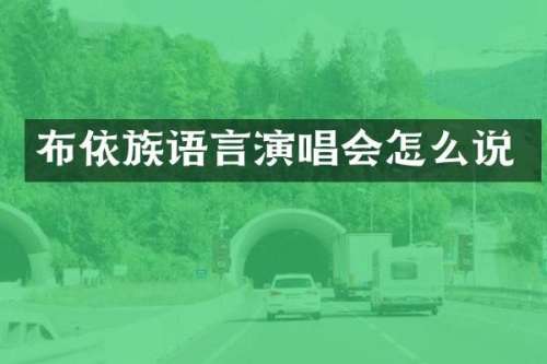 布依族语言演唱会怎么说