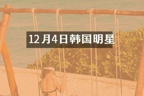 12月4日韩国明星
