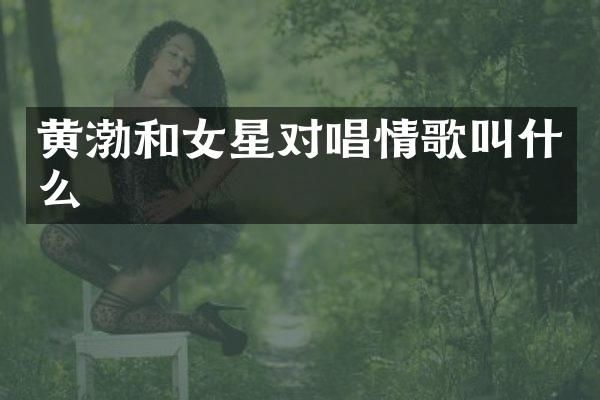 黄渤和女星对唱情歌叫什么