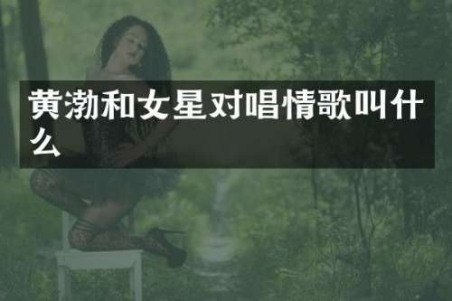 黄渤和女星对唱情歌叫什么