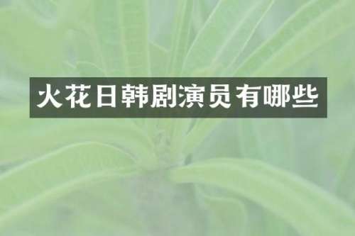 火花日韩剧演员有哪些