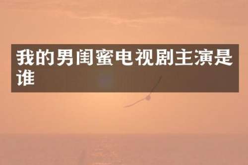 我的男闺蜜电视剧主演是谁