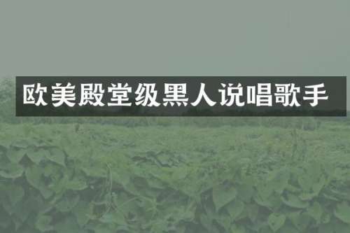 欧美殿堂级黑人说唱歌手