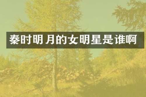 秦时明月的女明星是谁啊
