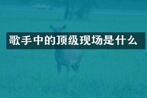歌手中的顶级现场是什么