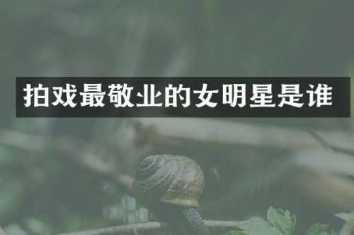 拍戏最敬业的女明星是谁
