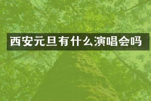 西安元旦有什么演唱会吗