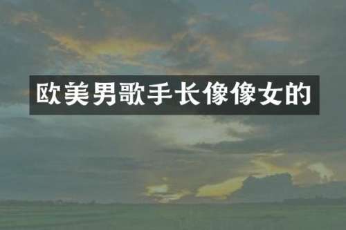 欧美男歌手长像像女的