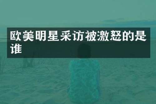 欧美明星采访被激怒的是谁