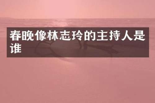像林志玲的主持人是谁