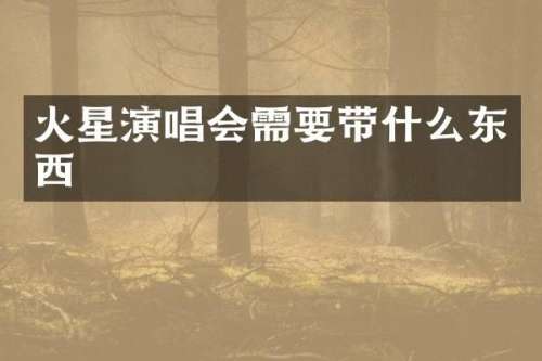 火星演唱会需要带什么东西