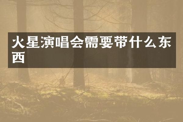 火星演唱会需要带什么东西