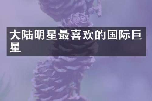 大陆明星最喜欢的国际巨星