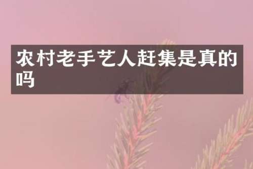 农村老手艺人赶集是真的吗
