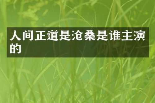 人间正道是沧桑是谁主演的