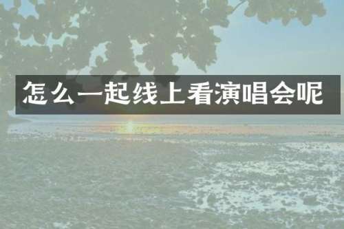 怎么一起线上看演唱会呢