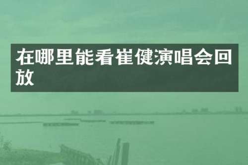在哪里能看崔健演唱会回放