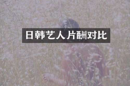 日韩艺人片酬对比