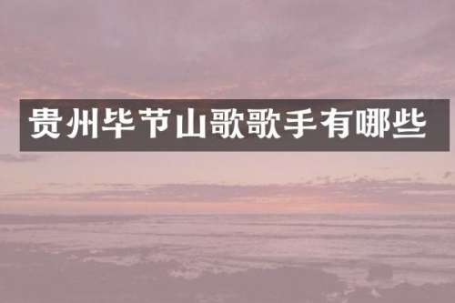 贵州毕节山歌歌手有哪些