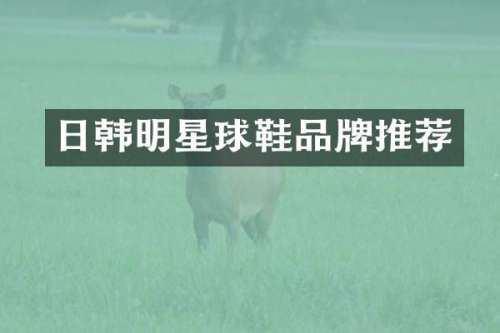 日韩明星球鞋品牌推荐