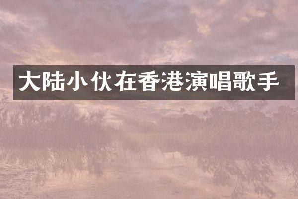 大陆小伙在香港演唱歌手