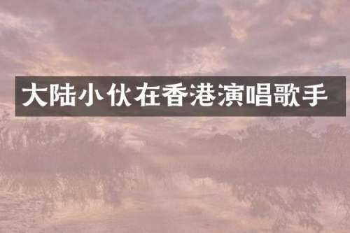大陆小伙在香港演唱歌手