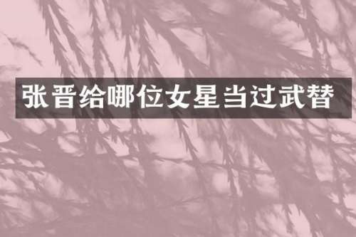 张晋给哪位女星当过武替
