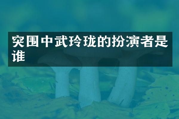 突围中武玲珑的扮演者是谁