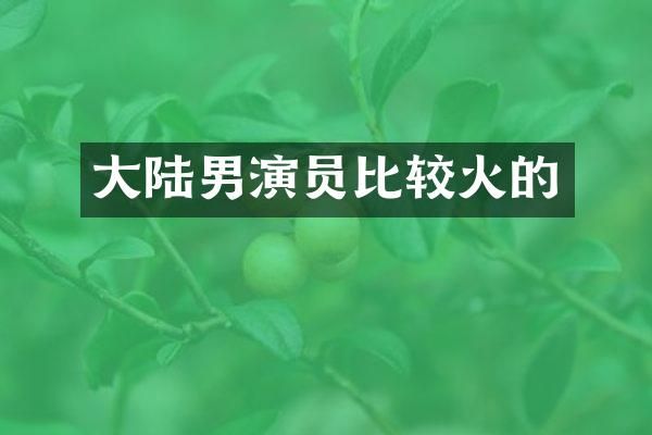 大陆男演员比较火的
