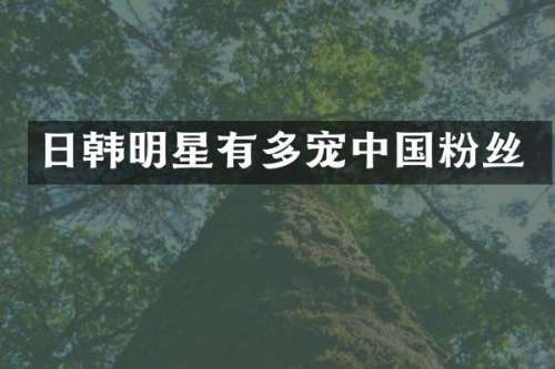 日韩明星有多宠中国粉丝