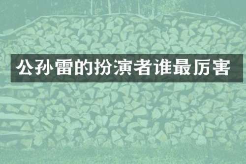 公孙雷的扮演者谁最厉害