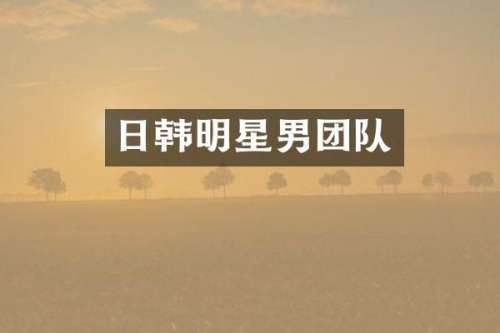 日韩明星男团队