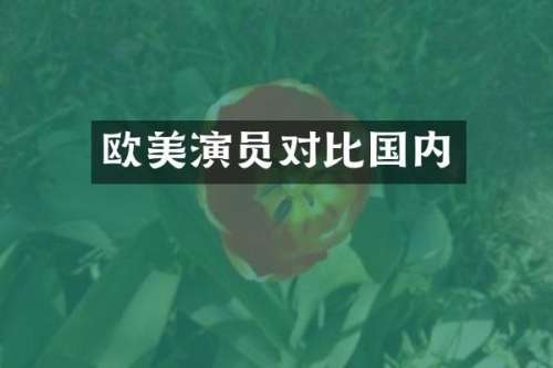 欧美演员对比国内
