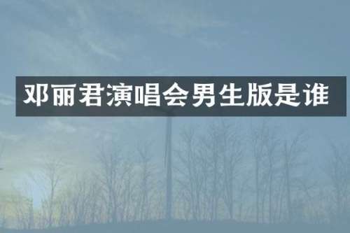 邓丽君演唱会男生版是谁