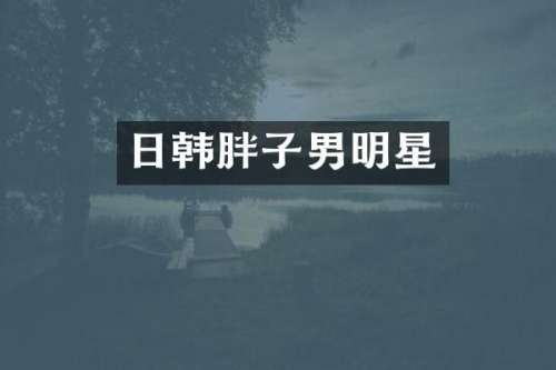日韩胖子男明星