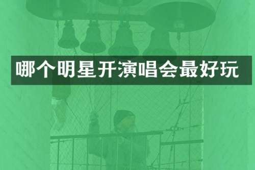 哪个明星开演唱会最好玩