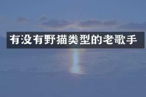 有没有野猫类型的老歌手