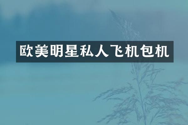 欧美明星私人飞机包机