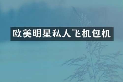 欧美明星私人飞机包机