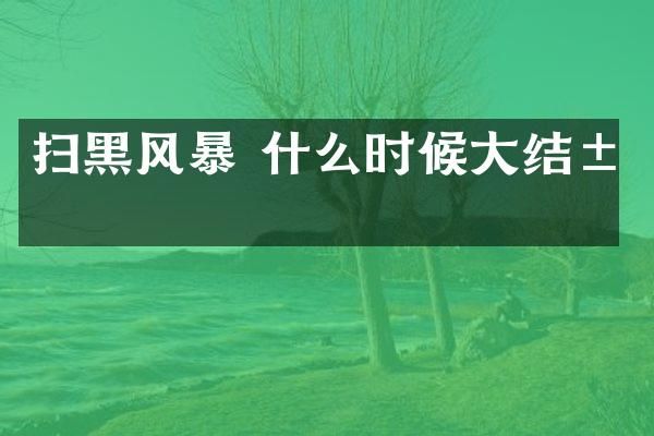 扫黑风暴 什么时候大结局