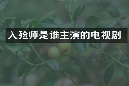 入殓师是谁主演的电视剧