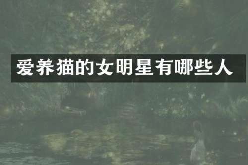 爱养猫的女明星有哪些人