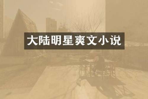 大陆明星小说