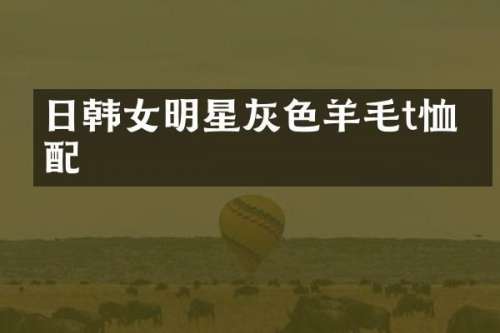 日韩女明星灰色羊毛t恤搭配