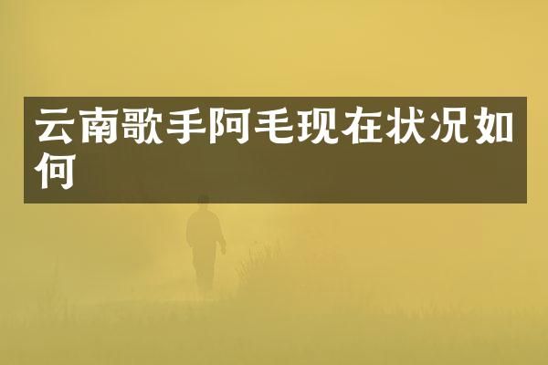 云南歌手阿毛现在状况如何