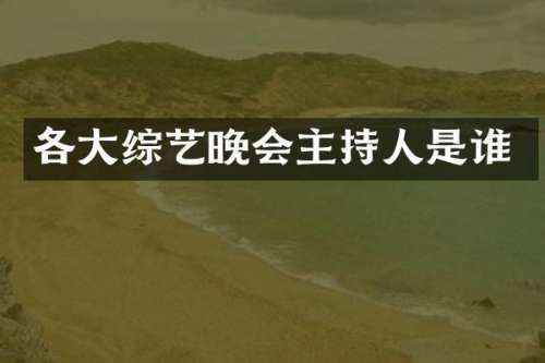 各大综艺晚会主持人是谁