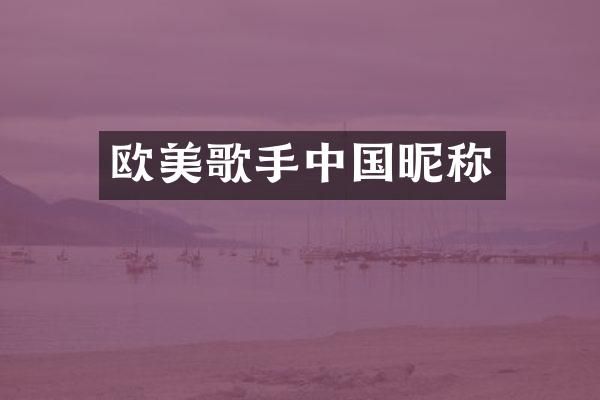 欧美歌手中国昵称