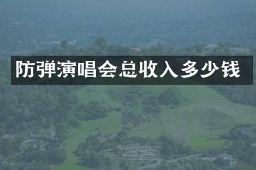 演唱会总收入多少钱